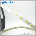 Ce Approved Led Tape Light Manufacturer Dc12v Smd 3528 Strip Light