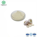 Pure Natural 1% 5% Allicin Powder Garlic Extract