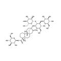 Stevia Süßungsmittel Stevia Sugar Stevia Tabletten