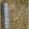 High Quality Field Fence