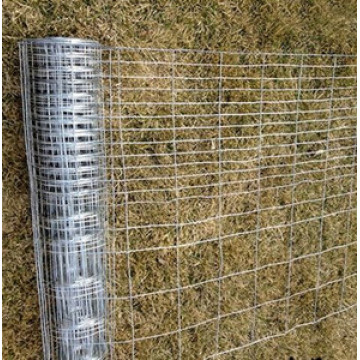 High Quality Field Fence