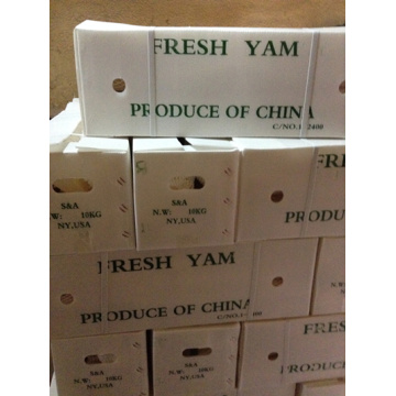 Chinese Fresh Yam for Exporting (Dia: 2-3cm)