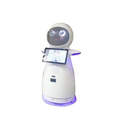 Interactive Talking Toy Robots for Museum