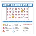 2000W Cob Full Spectrum Светодиодный свет растет