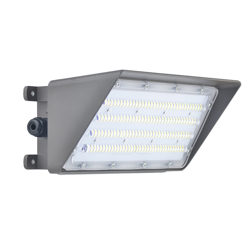 Led Wall Mount Light Fixture (8)