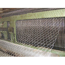 Malha Gabion para manter a pedra em 80X100mm