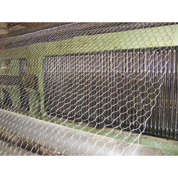 Gabion Mesh für das Halten von Stein in 80X100mm