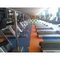 Piso de PVC para gimnasio y sala de fitness