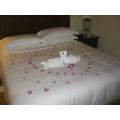 Hotel Linen Water Ripper 100% coton blanc