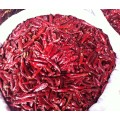 Hortalizas de pimiento rojo deshidratado