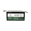 Deep cycle storage lithium ion batteries 24v