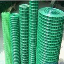 Green Color PVC Coated Welded Wire Mesh 1/2" 3/4" 1"