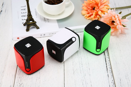 Bluetooth Speaker (3)