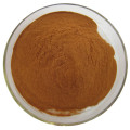 Extrato de Millettia de alta qualidade Millettia Extract Powder