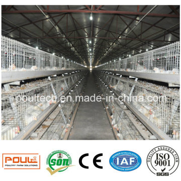 Poul Tech Poultry Farm Broiler Cage System