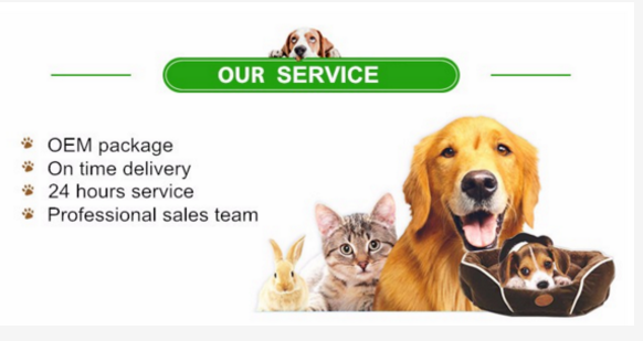 our service