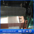 Galvanizado e Revestido de PVC Hexagonal Wire Mesh