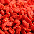 Goji Berry Extract Polysaccharides 40%