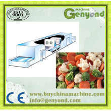 Belt Type Frozen Food Production Line