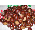 New Crop Fresh Delicious Top Quality Chestnut