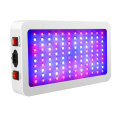 600watt 1000watt 1200watt 1500watt 2000watt LED Grow Light