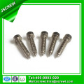 Hex Socket Head Cap Screw Vis pointu