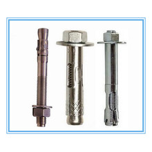 M6-M20 of Expansion Bolt with Stainless Steel