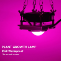 Plant Growing Lamps 200WCob Led Plant Lighting