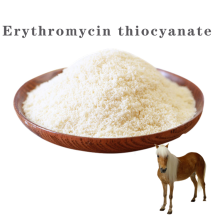 Pharmaceutical API Erythromycin thiocyanate oral solution
