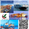Servicio de logística Ocean Shipping Company Contanier de China a todo el mundo