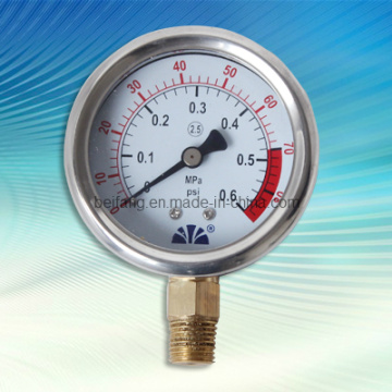 Pressure Gauge