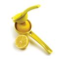 Colorful Painting Lemon Squeezer