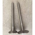 Intake&Exhaust Valve for Train with 4Cr9Si2