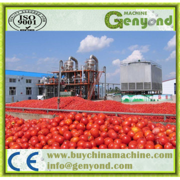 Usine complète de pâte de tomate automatique