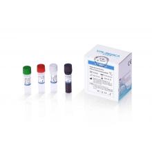 Kit de PCR em tempo real multiplex para SARS-Cov-2/influenza A/influenza b/rsv