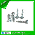 Tornillo Torx de Cabeza Plana con Zinc plateado con Logo