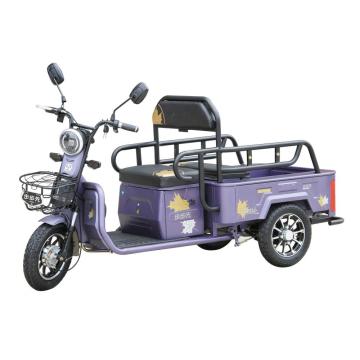 Elderly recreational passenger electric scooter