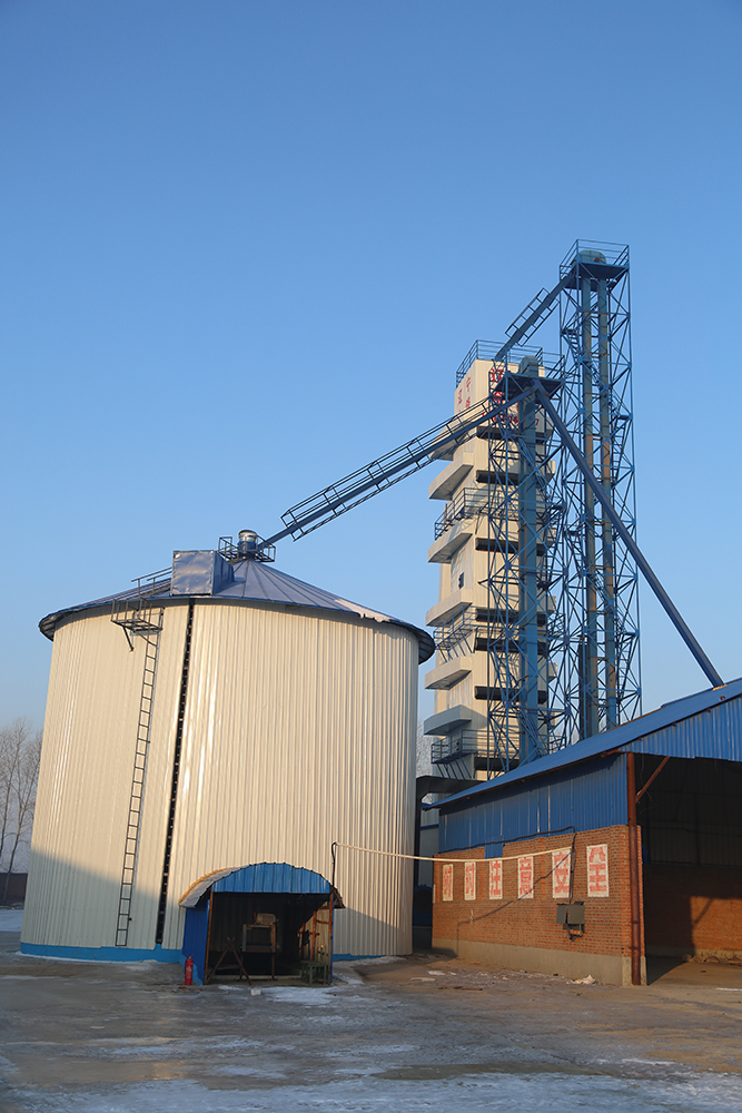 Automatic Peanut Dryer Machine