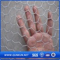 Galvanizado e Revestido de PVC Hexagonal Wire Mesh