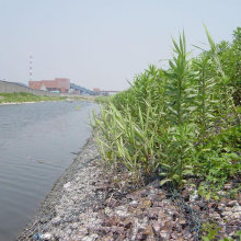 6*8 См Гальванизированное Шестиугольное Gabion Тюфяк Из Китая