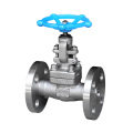 F304 Flanged End Globe Valve