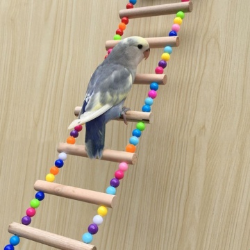 Aves Mascotas Loros Escaleras Escalada Juguete