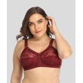 In-stock plus size full cup transparent lace bra