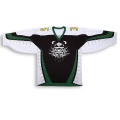 100 % Polyester gestickte Logo Eis Hockey Jersey für Fans