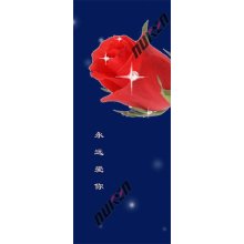 Custom Pet Stereoscopic Effect Lenticular Bookmark