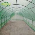 Green PE cover garden mini greenhouse