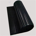 Top Sale Drainage Cell 8mm HDPE Dimple Sheet