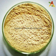 Natural 24% 6% HPLC Ginkgo Biloba Folha Extract