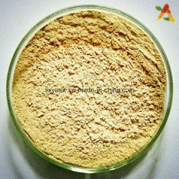 Natural 24% 6% HPLC Ginkgo Biloba Leaf Extract