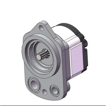 marine equipment gear pump